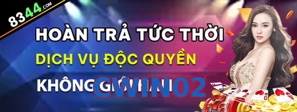 CWIN02