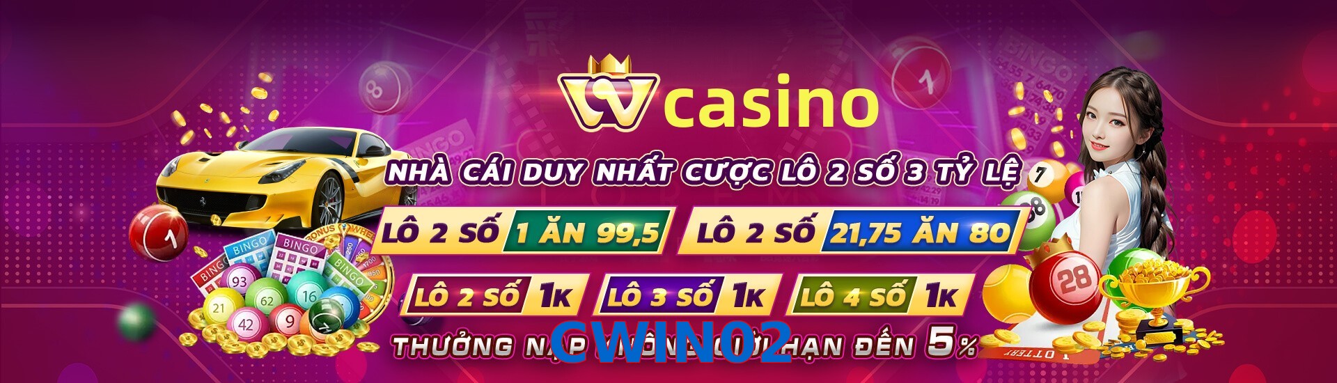CWIN02