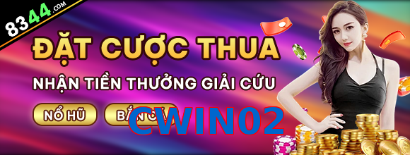 CWIN02